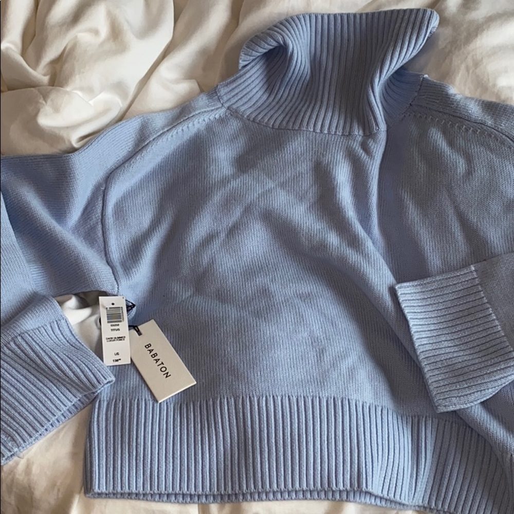 Aritzia 100% wool turtleneck